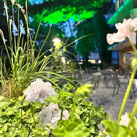 Hotel B&B Des Bains Milano Marittima ホテル