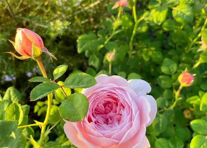 Des Bains 3* 밀라노마리티마