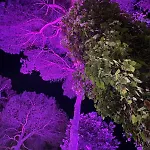 Szálloda Des Bains Milano Marittima