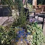 Szálloda Des Bains 3*