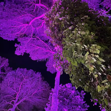 Hotel Des Bains Milano Marittima