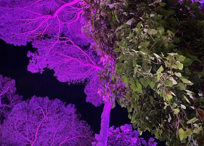 Hotel Des Bains Milano Marittima