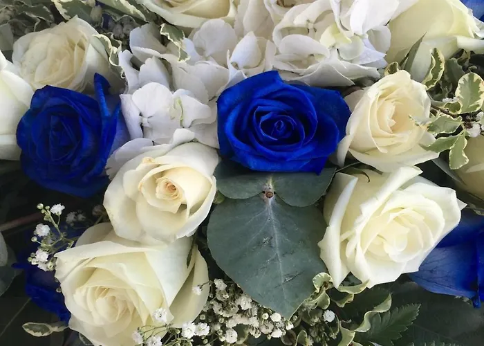 Szálloda Des Bains Hotel B&B